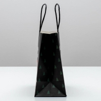 Пакет подарочный новогодний &laquo;А ты уже синяя&raquo;, 22 х 22 х 11 см, Новый год