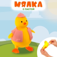 Мялка &laquo;Уточка&raquo; с пастой, цвета МИКС