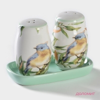 Набор для специй Доляна &laquo;Флора и Фауна&raquo;, 2 предмета: солонка, перечница 80 мл