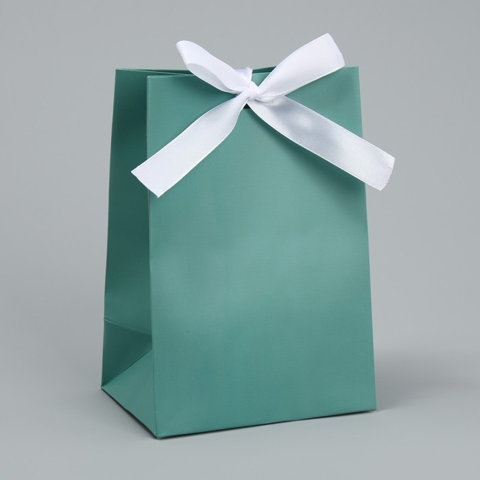 Пакет подарочный с лентой, упаковка, &laquo;Тиффани&raquo;, 13 х 19 х 9 см