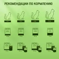 Влажный корм KiteKat для кошек, курица в желе, пауч, 85 г