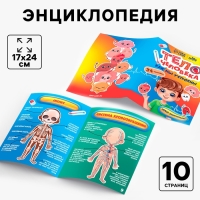 Обучающий набор &laquo;Тело человека&raquo;, рамка-вкладка и книга с наклейками