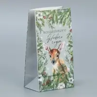 Пакет подарочный без ручек &laquo;Волшебного Нового года&raquo;, 10&times;19.5&times;7 см