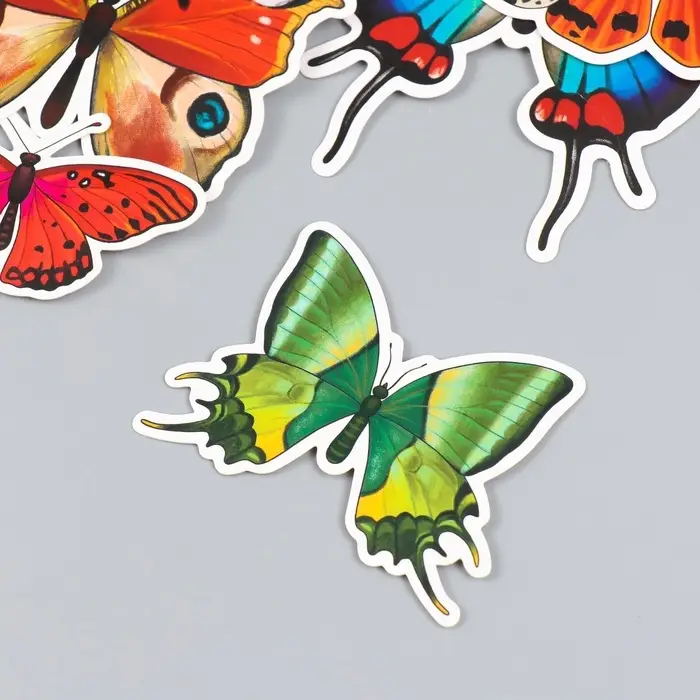 Набор магнитов на холодильник &laquo;Натуральные&raquo;, 12 шт., картон, h=4-10 см