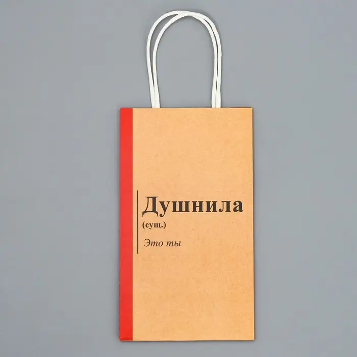 Пакет подарочный крафтовый, упаковка, &laquo;Душнила&raquo;, 12 х 21 х 9 см