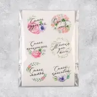 Наклейки для подарков и цветов &laquo;Самой чудесной&raquo;, 16 х 9.3 см