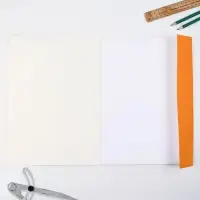 Бумага для черчения А4, 20 листов, без рамки, белизна 100%, 160 г/м&sup2; в папке