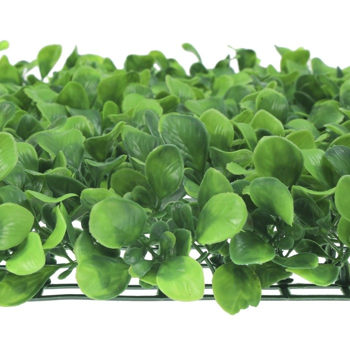 Декоративная панель, 60 &times; 40 см, &laquo;Мокрица&raquo;, Greengo