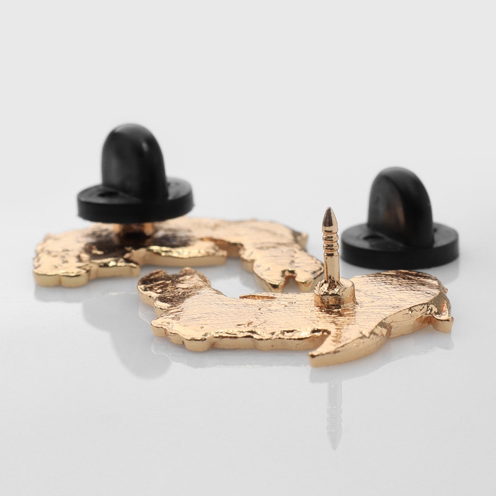 Набор значков (2 шт.) &laquo;Япония&raquo; карпы, цветной в золоте