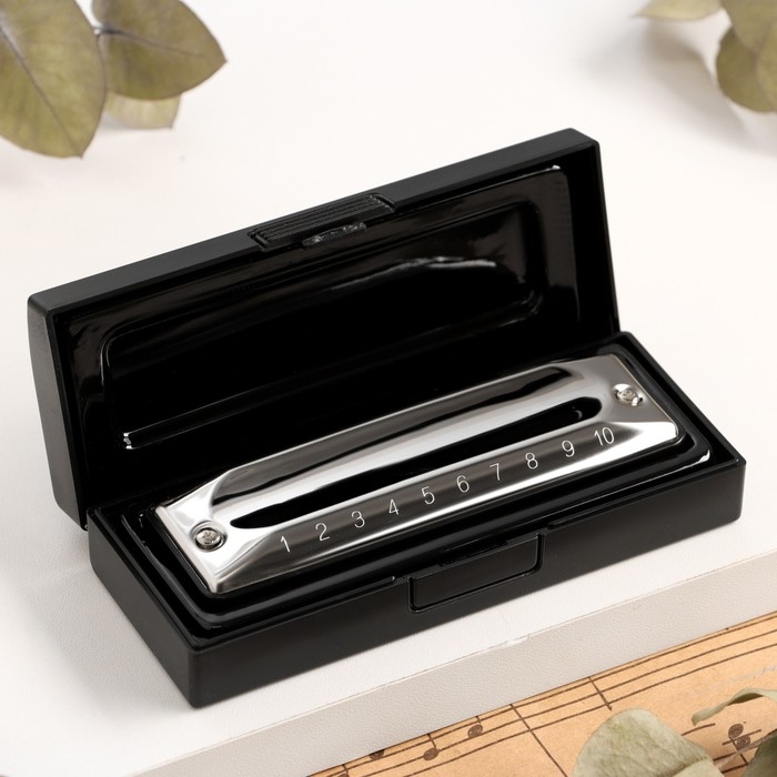 Губная гармошка Music Life T002 C диатоническая, 10 отверстий, с футляром