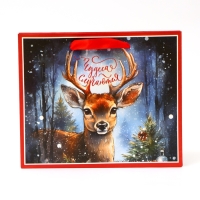 Новый год. Пакет подарочный новогодний бумажный, "Чудеса случаются", 24 х 20 х 11 см.