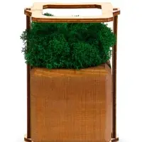 Кашпо композиция со мхом "Бриовуд", мох стабилизированный: Forest green (Зелёный лес)