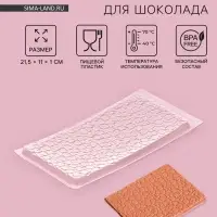 Форма для шоколада &laquo;Шоколад пористый&raquo;, пластик, 21.5&times;11.5&times;1 см, прозрачная