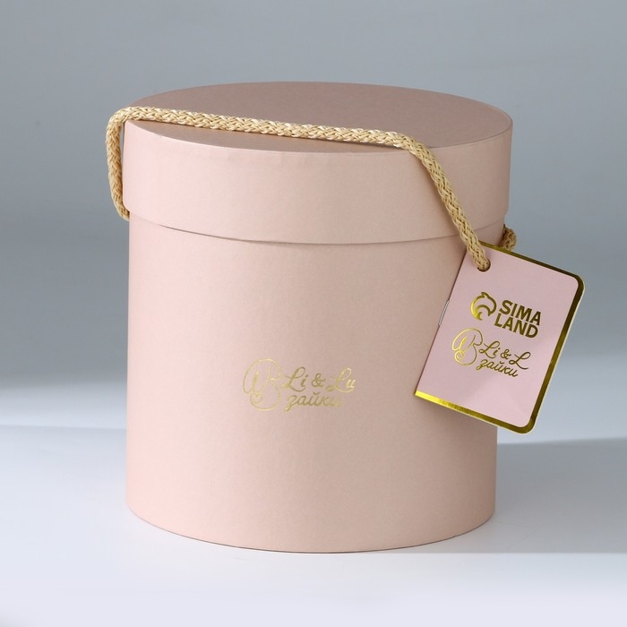 Мягкая игрушка зайка "Космическая Li", заяц