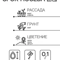 Семена цветов Пиретрум "Гиганты Робинсона", Смесь, 0,1 г