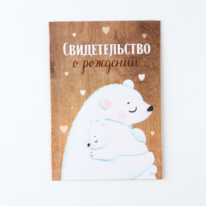 Папка для свидетельства о рождении "Мама и малыш", медведи, 23 х 17 см
