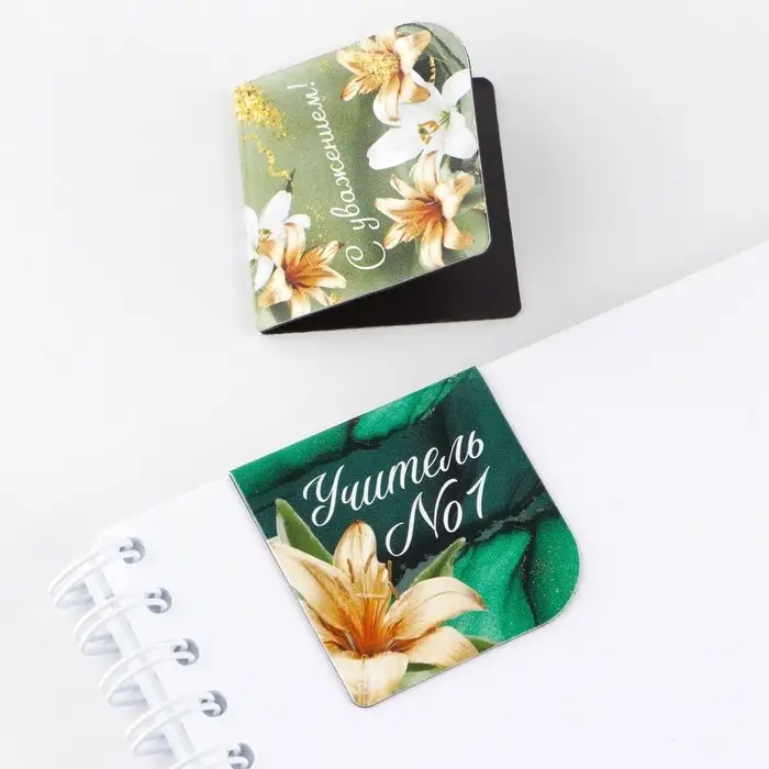 Магнитные закладки для книг в открытке &laquo;Учителю: Учитель №1&raquo;, 4 шт.