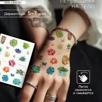Переводные тату на тело цветные &laquo;Бабочки. Суккуленты&raquo;, 24&times;14.5 см, МИКС