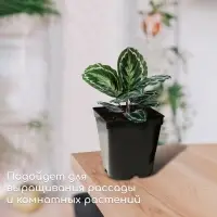 Горшок для рассады, 3 л, d=16 см, h=16 см, чёрный, Greengo
