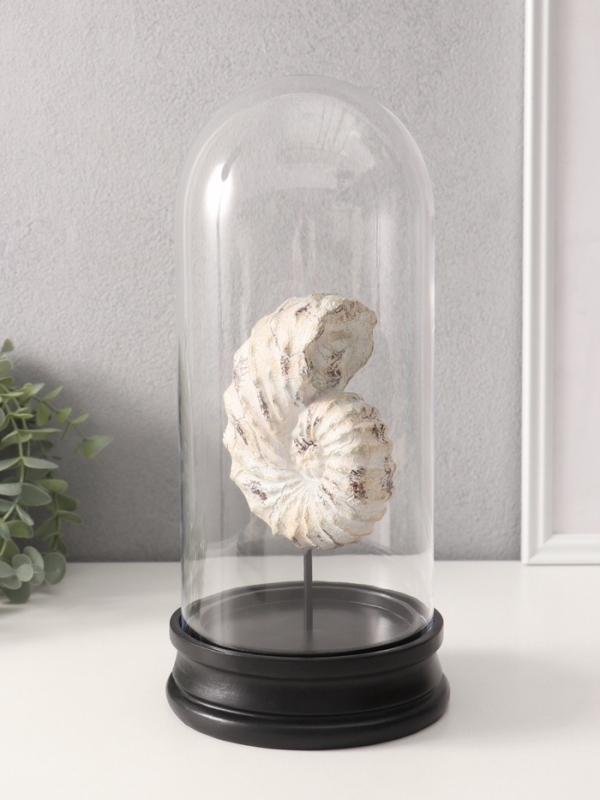 Сувенир полистоун в колбе "Ракушка плоскоспиральная" 14х14х30 см