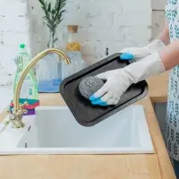 Губка для посуды металлическая Raccoon, спираль оцинкованная, 30 гр