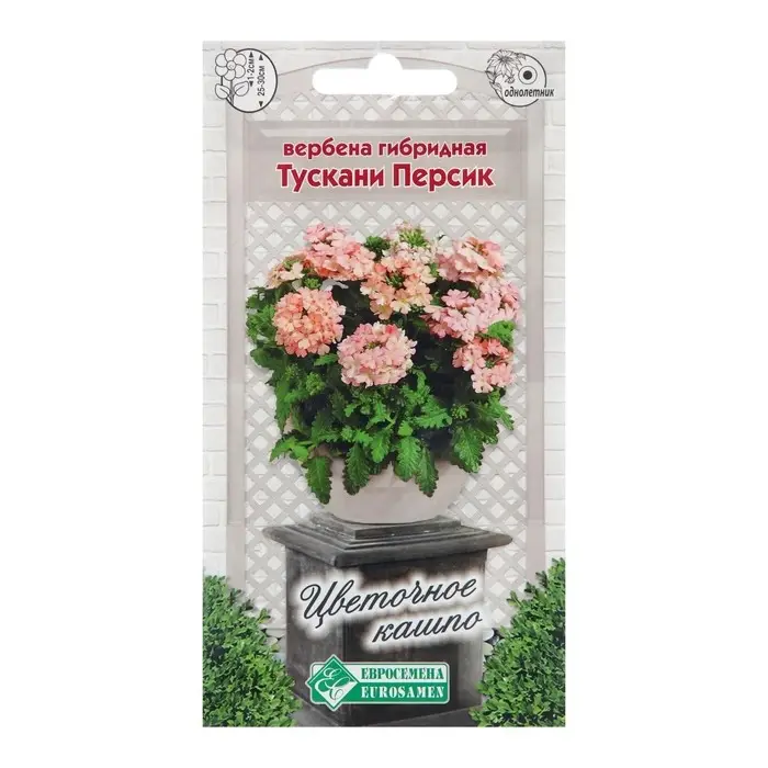 Семена цветов Вербена гибридная "Тускани Персик", 8 шт