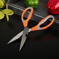 Ножницы кухонные Доляна &laquo;Драйв&raquo;, 22 см, с открывалкой для бутылки, цвет МИКС