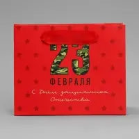Пакет подарочный ламинированный, упаковка, &laquo;С 23 февраля&raquo;, S 15 х 12 х 5.5 см