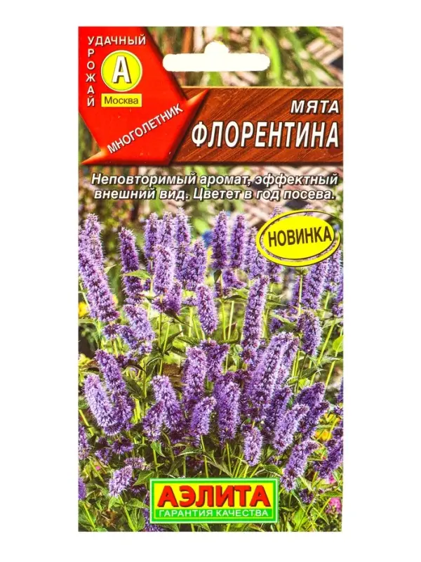 Семена Мята Флорентина, Ц/П,0,05 г
