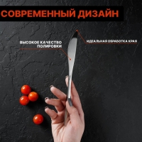 Ножи столовые из нержавеющей стали Доляна Sentiment, длина 23 см, 6 шт, цвет серебряный