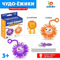 Развивающий набор &laquo;Чудо-ёжики&raquo;, 20 карточек, 3+