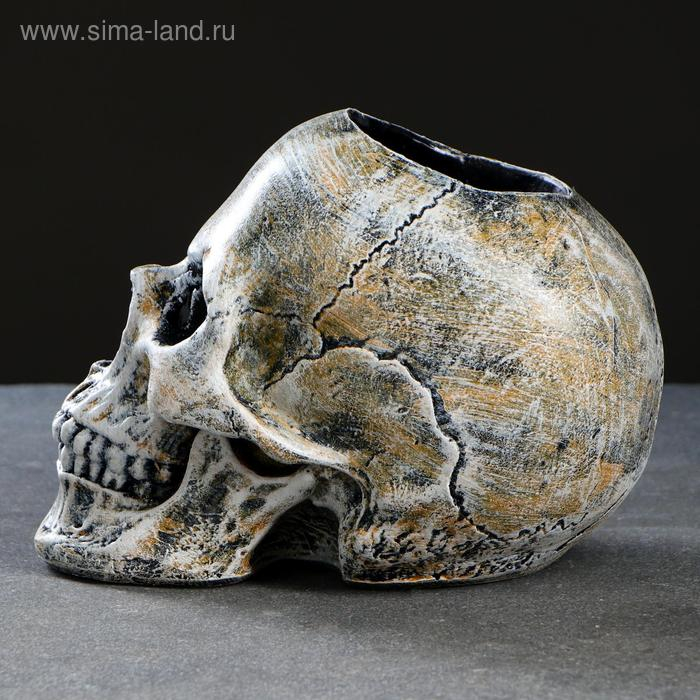 Подставка под ёрш "Череп" 16х15х22см (ершик н/сталь)