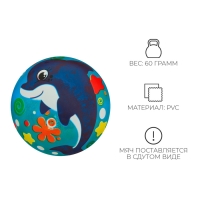 Мяч детский ZABIAKA &laquo;Дельфинчик&raquo;, d=22 см