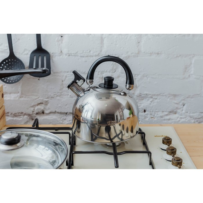 Чайник со свистком из нержавеющей стали Доляна &laquo;Чёрная ночь&raquo;, 3 л, фиксированная ручка, цвет хромированный