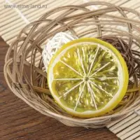 Муляж &laquo;Кусочек лимон&raquo;, d=5 см, (фасовка 10 шт., цена за 1 шт.), жёлтый