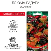 Семена комнатных цветов Колеус "Блюма Радуга", 130 шт.