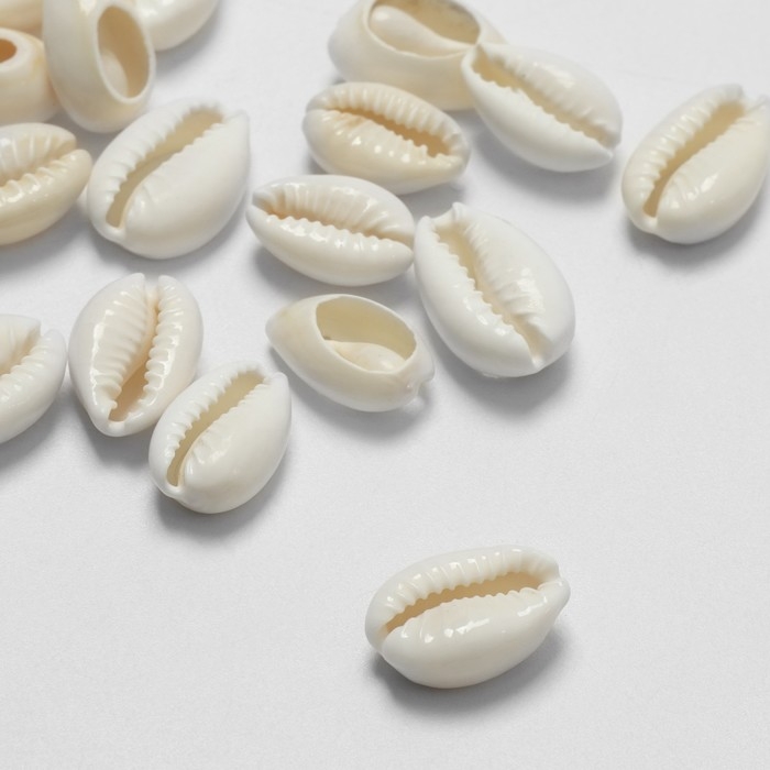 Бусина &laquo;Ракушка&raquo;, 2&times;1 см, необычная,14-18 мм, (набор 20 шт.), цвет белый