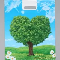 Пакет "Признание, полиэтиленовый с вырубной ручкой 38х47 см, 60 мкм