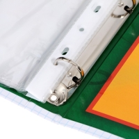 Папка школьная на кольцах &laquo;Портфолио школьника&raquo;, 6 листов-разделителей, 24,5 х 32 см.