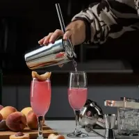 Набор для приготовления коктейлей Troubleshooter, серебристый