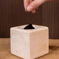 Набор для выращивания &laquo;Экокуб&raquo;, сосна