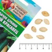 Семена Кабачок цукини "Чёрный красавец", 2 г