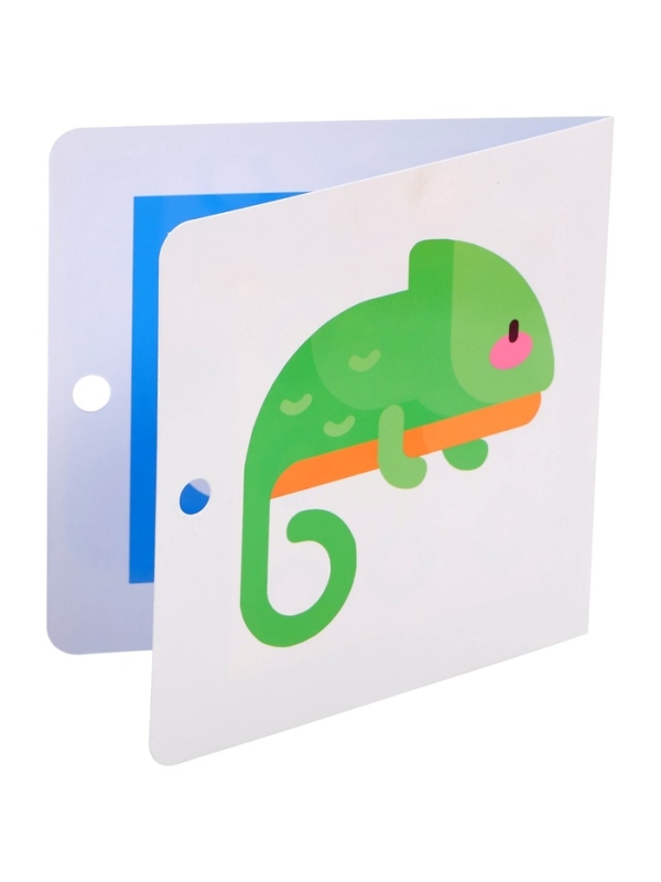 Развивающий набор "Мои первые картинки"