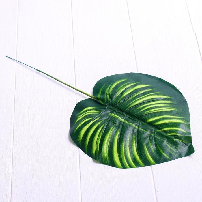 Лист искусственный &laquo;Драцена&raquo;, 40 &times; 13 см