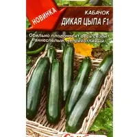 Семена Кабачок цуккини Дикая цыпа F1 Семторг, Ц/П СТ,5 шт.