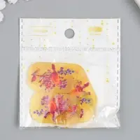 Декор для творчества акрил "Птица на сухоцвете" 0,2х2,4х4 см