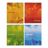 Тетрадь 48 листов в клетку Calligrata &laquo;Графика&raquo;, обложка мелованная бумага, серые листы, МИКС