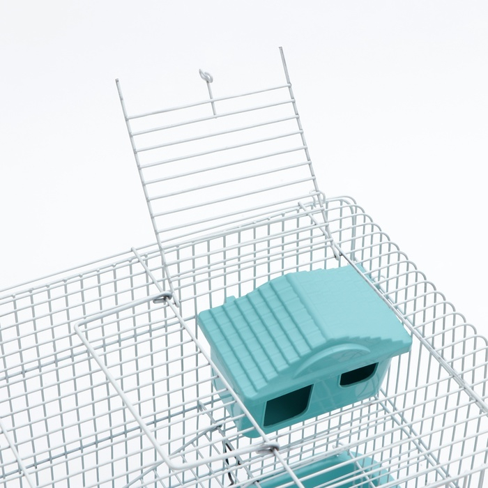 Клетка для грызунов "Пижон" №3, с 2-я этажами, укомплектованная, 33 х 24 х 28 см, бирюзовая