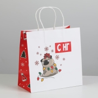 Пакет подарочный новогодний &laquo;А вас также&raquo;, 22 х 22 х 11 см, Новый год