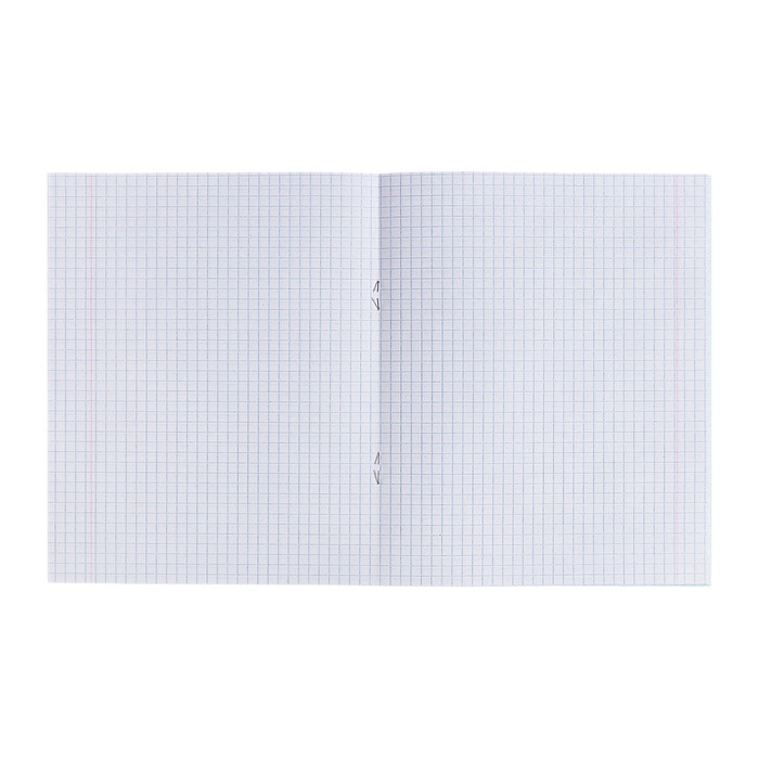 Комплект тетрадей из 10 штук, 24 листа в клетку КПК "Зелёная обложка", блок офсет, 58-62 г/м&sup2;, белизна 90%